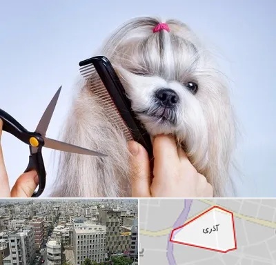 آرایشگاه حیوانات خانگی در آذری