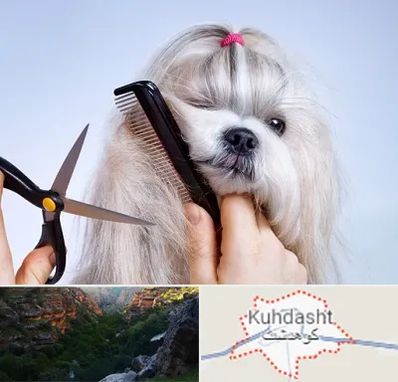 آرایشگاه حیوانات خانگی در کوهدشت