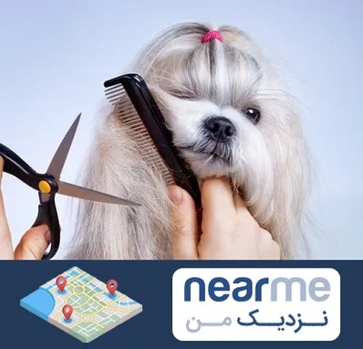 آرایشگاه حیوانات خانگی در نزدیک من