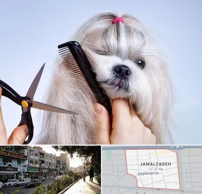 آرایشگاه حیوانات خانگی در خیابان جمالزاده