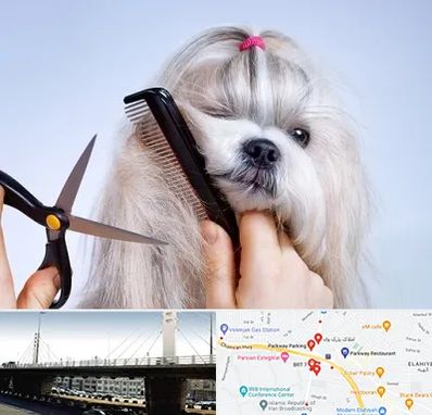 آرایشگاه حیوانات خانگی در پارک وی