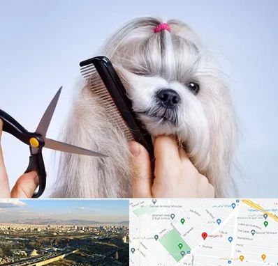 آرایشگاه حیوانات خانگی در هنگام