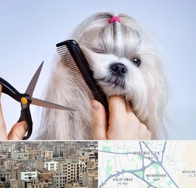 آرایشگاه حیوانات خانگی در جنوب شرق تهران