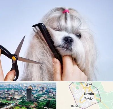 آرایشگاه حیوانات خانگی در ارومیه