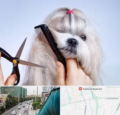 آرایشگاه حیوانات خانگی در بلوار فرحزادی