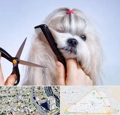 آرایشگاه حیوانات خانگی در قاسم آباد مشهد