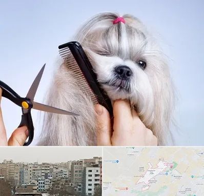 آرایشگاه حیوانات خانگی در محمد شهر کرج