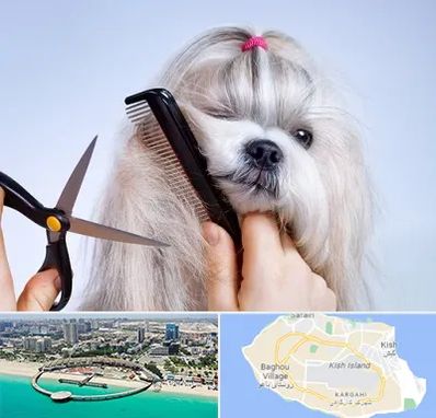 آرایشگاه حیوانات خانگی در کیش