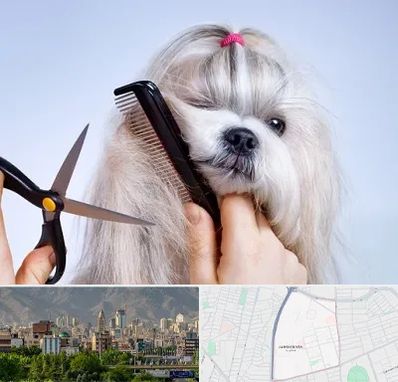 آرایشگاه حیوانات خانگی در جمشیدیه