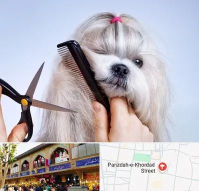 آرایشگاه حیوانات خانگی در 15 خرداد