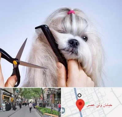 آرایشگاه حیوانات خانگی در ولیعصر شهریار