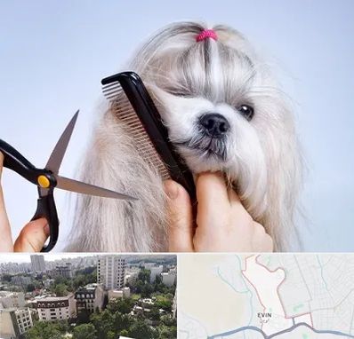 آرایشگاه حیوانات خانگی در اوین