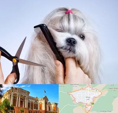 آرایشگاه حیوانات خانگی در خوی