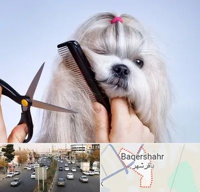آرایشگاه حیوانات خانگی در باقرشهر