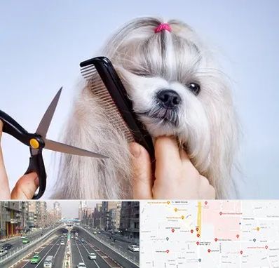 آرایشگاه حیوانات خانگی در توحید