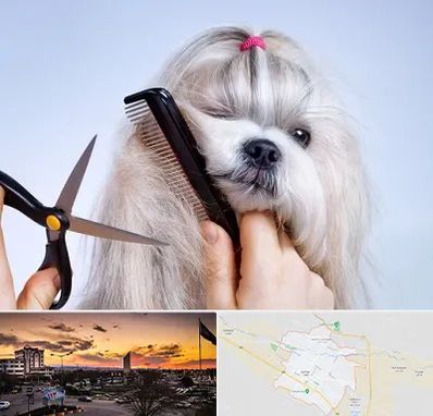 آرایشگاه حیوانات خانگی در قوچان