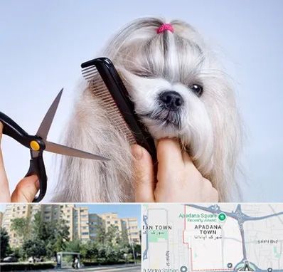 آرایشگاه حیوانات خانگی در آپادانا