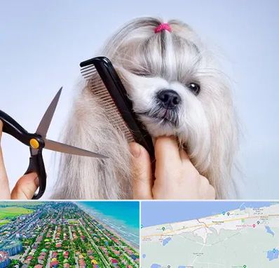 آرایشگاه حیوانات خانگی در فریدونکنار