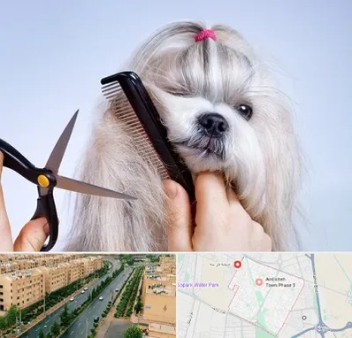 آرایشگاه حیوانات خانگی در فاز سه اندیشه
