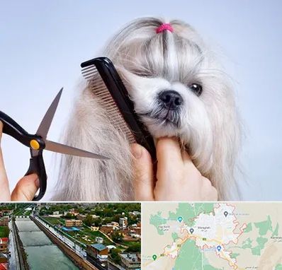 آرایشگاه حیوانات خانگی در مراغه