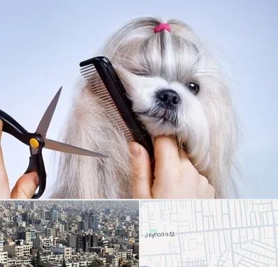 آرایشگاه حیوانات خانگی در جیحون