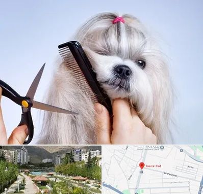 آرایشگاه حیوانات خانگی در بلوار تعاون