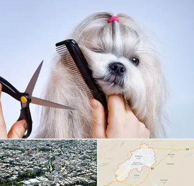 آرایشگاه حیوانات خانگی در شاهرود