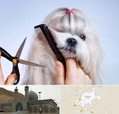 آرایشگاه حیوانات خانگی در شهرضا