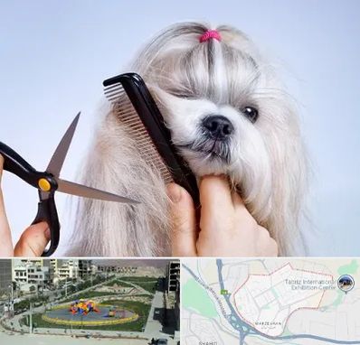 آرایشگاه حیوانات خانگی در مرزداران تبریز