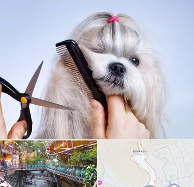 آرایشگاه حیوانات خانگی در درکه