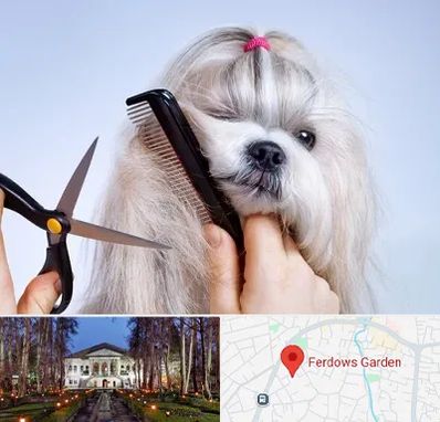 آرایشگاه حیوانات خانگی در باغ فردوس