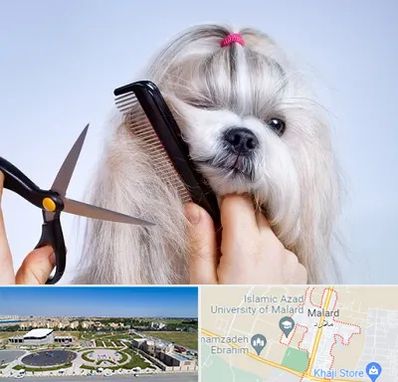 آرایشگاه حیوانات خانگی در ملارد