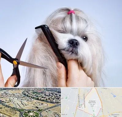 آرایشگاه حیوانات خانگی در اندیشه