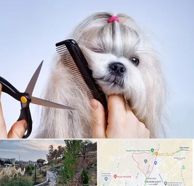 آرایشگاه حیوانات خانگی در باغستان کرج