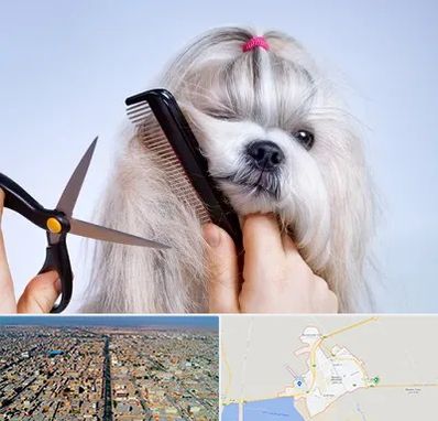 آرایشگاه حیوانات خانگی در بندر ماهشهر