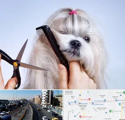 آرایشگاه حیوانات خانگی در پیروزی