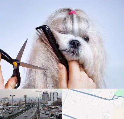 آرایشگاه حیوانات خانگی در بلوار ارتش