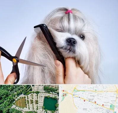 آرایشگاه حیوانات خانگی در وکیل آباد مشهد