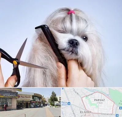 آرایشگاه حیوانات خانگی در پرواز تبریز