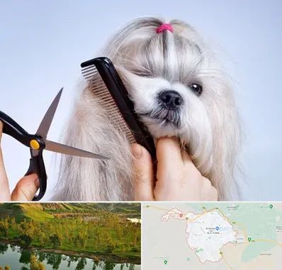 آرایشگاه حیوانات خانگی در بهبهان