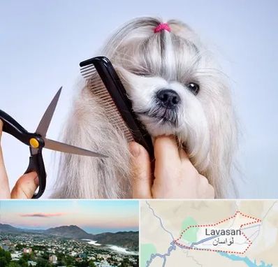 آرایشگاه حیوانات خانگی در لواسان