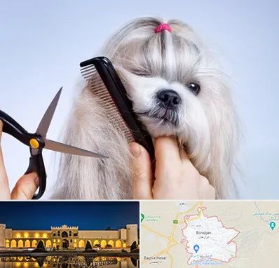 آرایشگاه حیوانات خانگی در برازجان