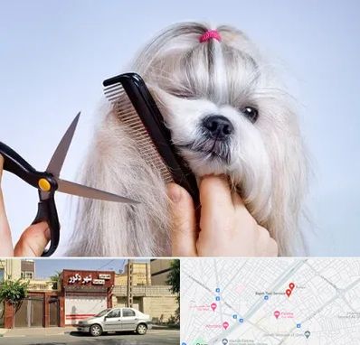 آرایشگاه حیوانات خانگی در باجک قم