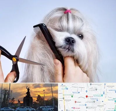 آرایشگاه حیوانات خانگی در میدان حر