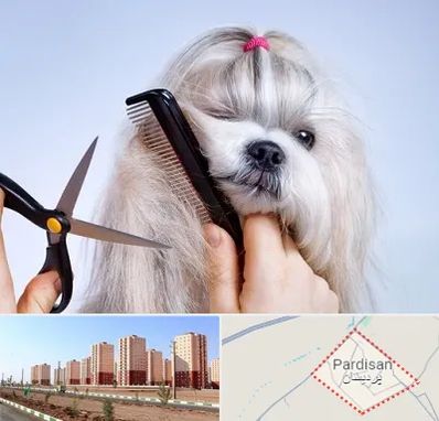 آرایشگاه حیوانات خانگی در پردیسان قم