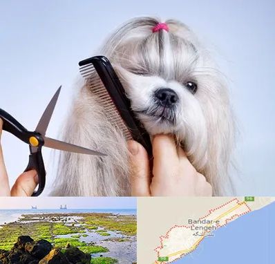 آرایشگاه حیوانات خانگی در بندرلنگه