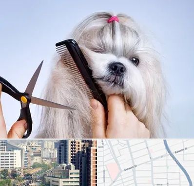 آرایشگاه حیوانات خانگی در خیابان بهشتی