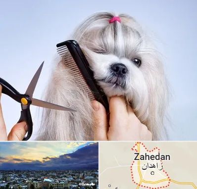 آرایشگاه حیوانات خانگی در زاهدان