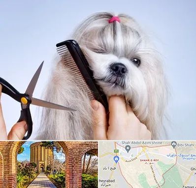 آرایشگاه حیوانات خانگی در شهر ری