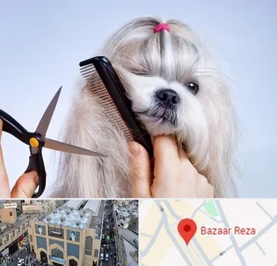 آرایشگاه حیوانات خانگی در بازار رضا مشهد